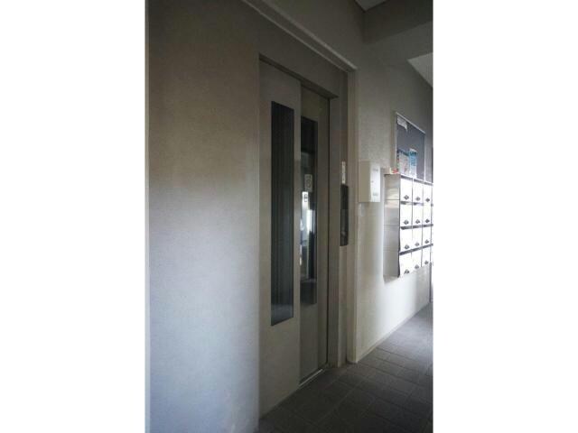  ドエルポートレート