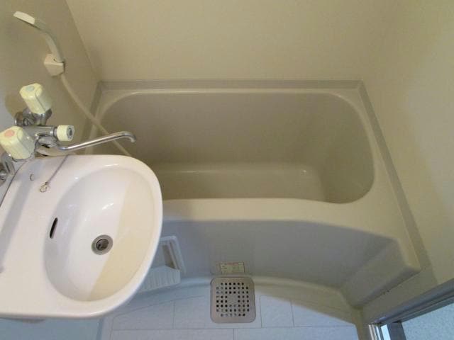  ドエルポートレート