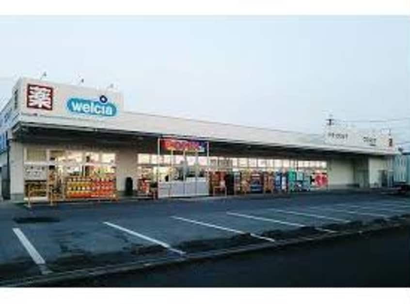 ウエルシア大津唐崎店(ドラッグストア)まで460m 開花えれがんす