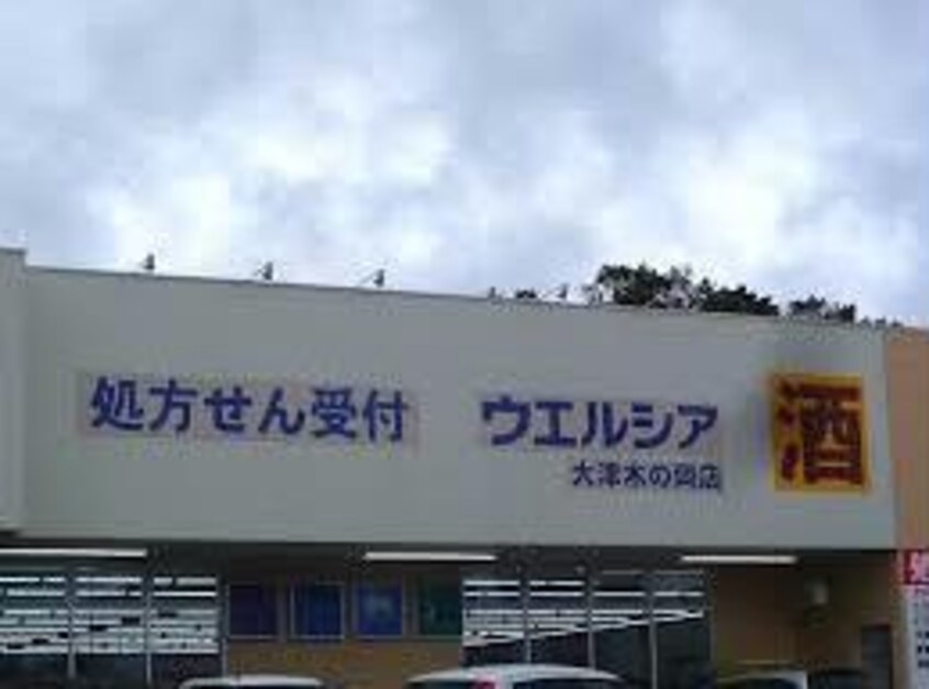 ウエルシア大津木の岡店(ドラッグストア)まで566m 湖西線/比叡山坂本駅 徒歩11分 2階 築19年