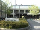 滋賀県立図書館(図書館)まで2921m ジュネス山元
