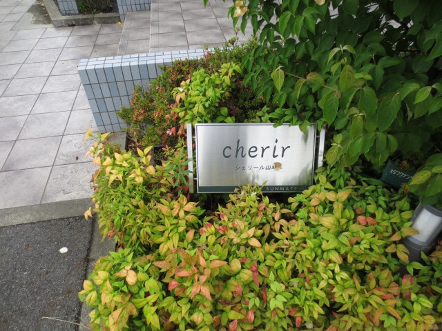  シェリール山﨑