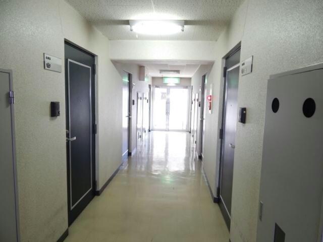  アネックスキューズ