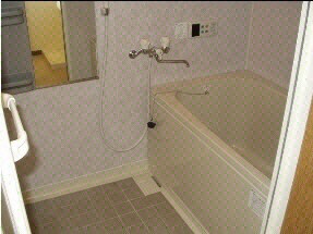  エスポワール大将軍