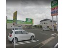 ジップドラッグ大将軍店(ドラッグストア)まで1031m ネストロオガール