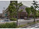イオン洛南店(スーパー)まで778m グランドパレス西大路