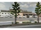 セブンイレブン大津螢谷店(コンビニ)まで268m 東海道本線<琵琶湖線・JR京都線>/石山駅 徒歩15分 1階 築12年