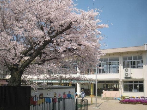 大津市立膳所幼稚園(幼稚園/保育園)まで1027m 京阪石山坂本線/粟津駅 徒歩3分 2階 築46年