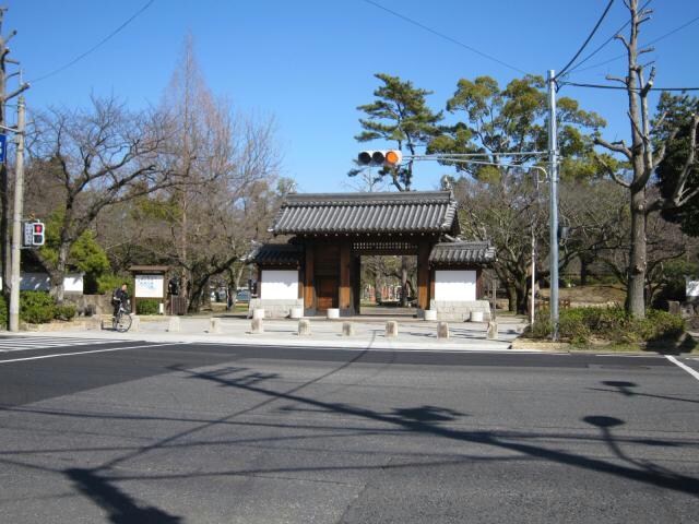 大津湖岸なぎさ公園(公園)まで657m 藤マンション