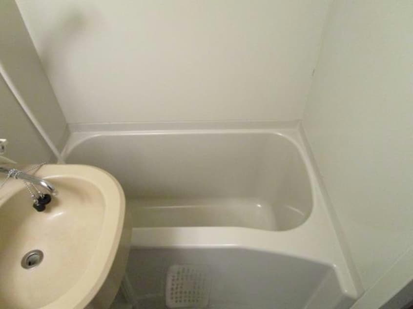  石山ＩＶＹ　ＨＥＩＧＨＴ