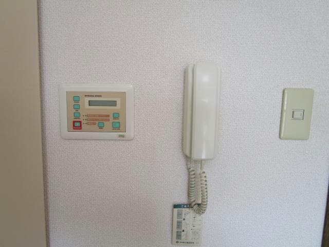  石山ＩＶＹ　ＨＥＩＧＨＴ