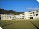 大津市立志賀小学校(小学校)まで1457m Bellezza大津京