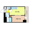 湖西線/大津京駅 徒歩6分 9階 築4年 1DKの間取り