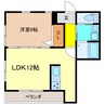 フェリシア 1LDKの間取り