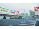 スギ薬局大津富士見台店(ドラッグストア)まで1286m 上月ハイツ