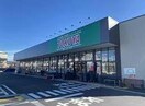 TOKUYA大津瀬田店(スーパー)まで1023m mimosa seta