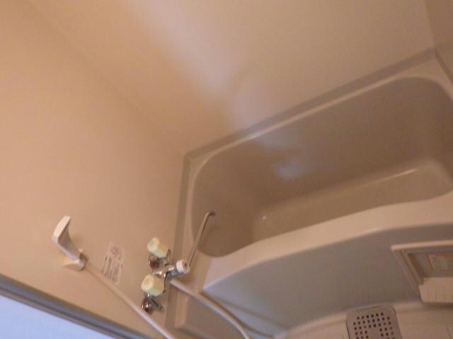  アルファルーセント