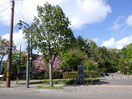 豊平公園(公園)まで827m アークガーデン平岸Ⅱ