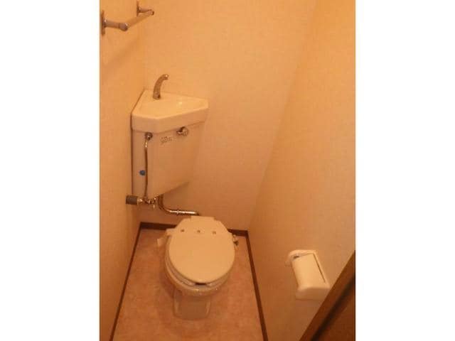  クランベリー１３