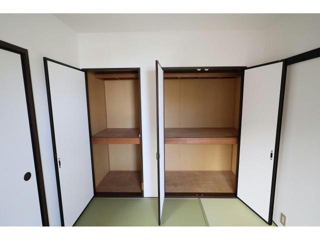  センターストリーム　