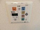  アルブル・ブランシュ