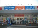 ドラッグストアエーススーパーモール鳥取店(ドラッグストア)まで1375m セレスト・パレ