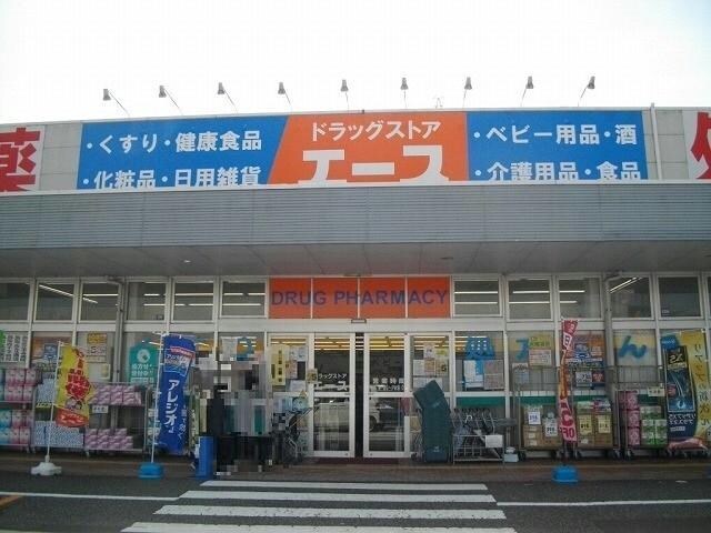 ドラッグストアエーススーパーモール鳥取店(ドラッグストア)まで1171m ピュールリヴィエール