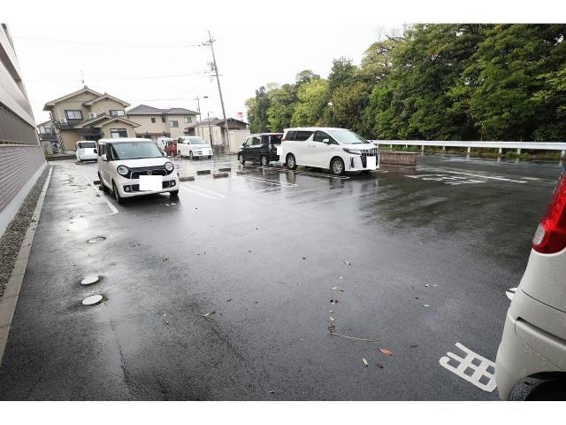  ティアクラウン