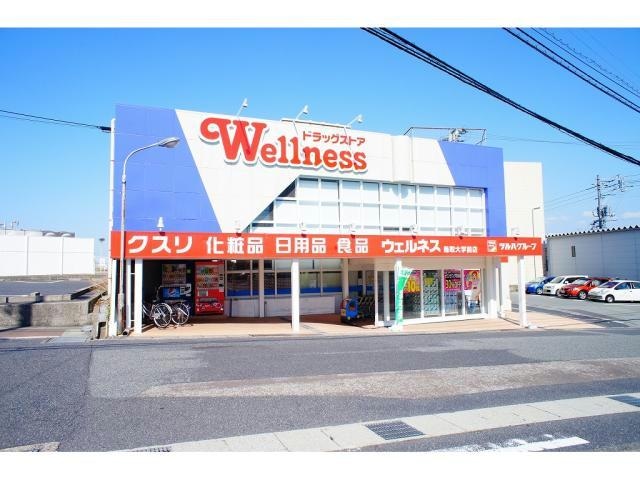 ドラッグストアウェルネス湖山店(ドラッグストア)まで2965m レークガーデン