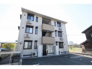 シャムロック