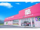 ゴダイドラッグ岩美店(ドラッグストア)まで1119m グリュッククレーA