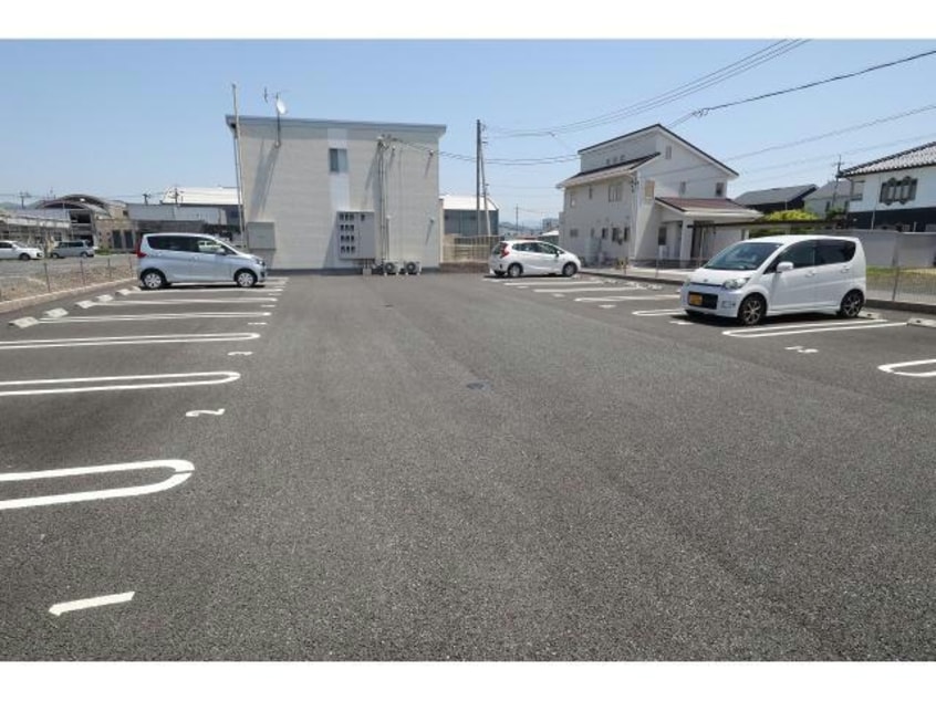  マリーゴールド