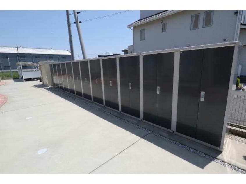  マリーゴールド