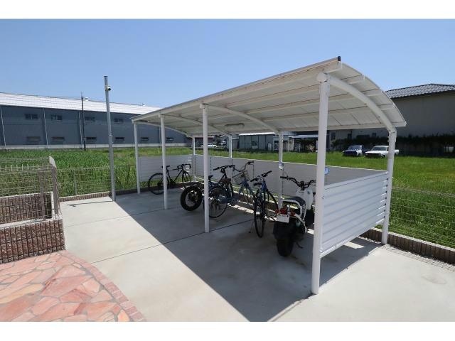  マリーゴールド