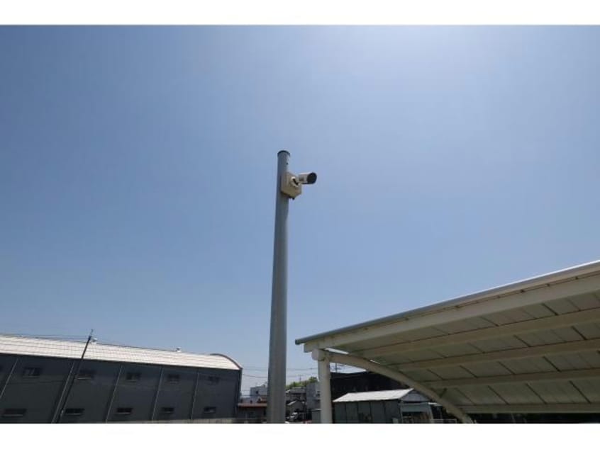  マリーゴールド