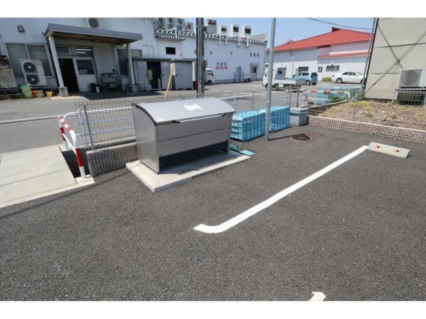  マリーゴールド