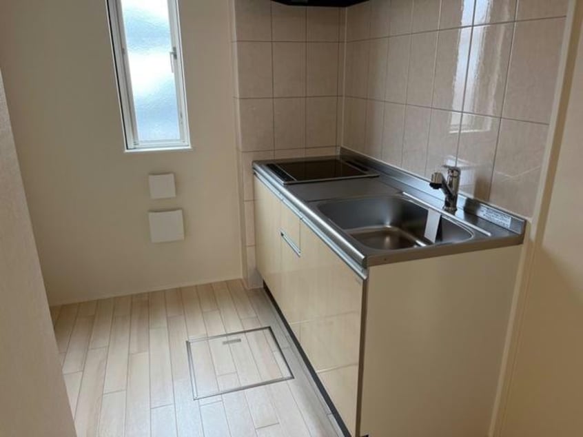  マリーゴールド