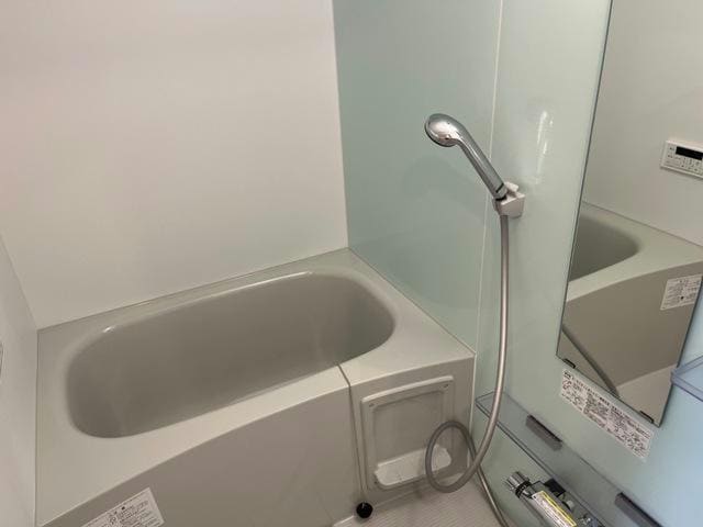  マリーゴールド