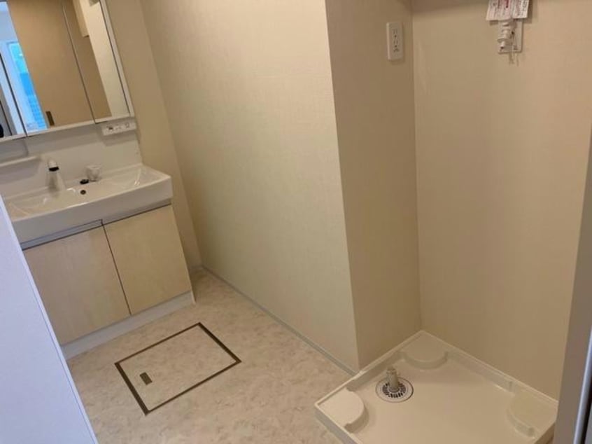  マリーゴールド