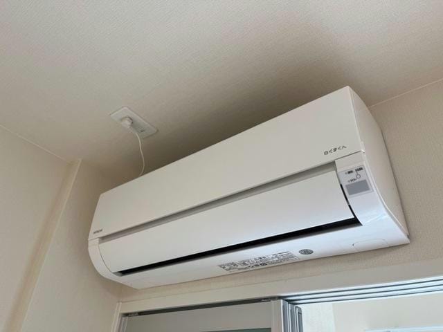  マリーゴールド