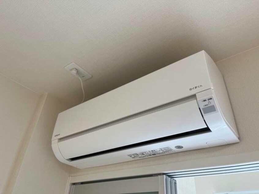  マリーゴールド