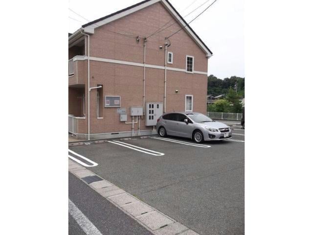  カメリア・B