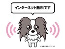 ネット無料 東海道本線/浜松駅 徒歩22分 2階 築35年