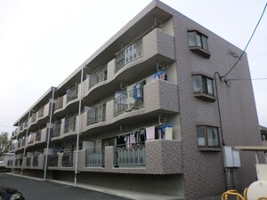 ルミエール（早出）