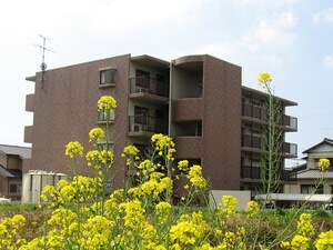 イーストライム