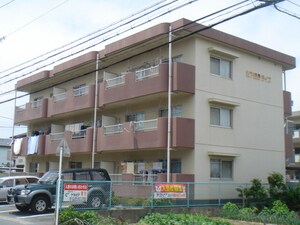 松下細島ライフ