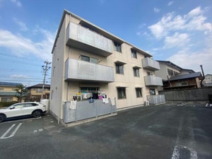 ニューリバティー