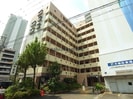 PIGEON VERTの外観