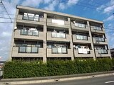 スクエアガーデン