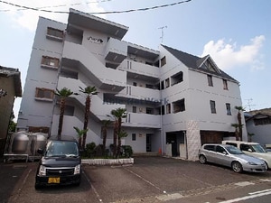 Dwell 50